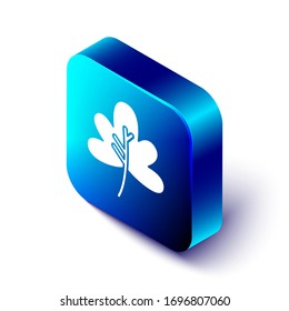 Icono de hoja isométrica aislado en fondo blanco. Deja la señal. Símbolo de producto natural fresco. Botón cuadrado azul. Ilustración vectorial