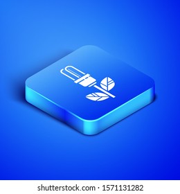 Isometric Light bulb with leaf icon isolated on blue background. Eco energy concept. Alternative energy concept. Blue square button. Vector Illustration