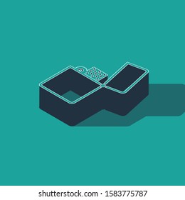 Isometric Lighter icon isolated on green background.  Vector Illustration