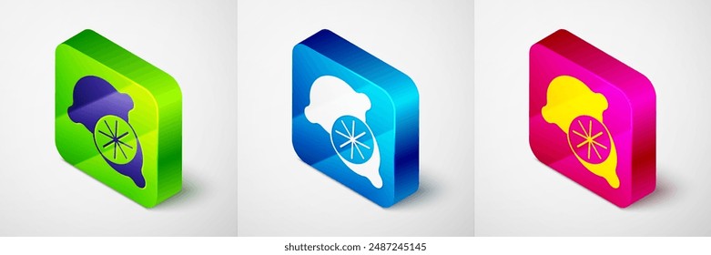 Isometric Lime icon isolated on grey background. Square button. Vector