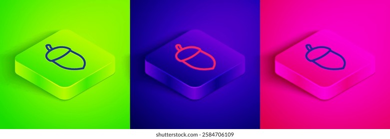 Isometric line Acorn icon isolated on green, blue and pink background. Square button. Vector