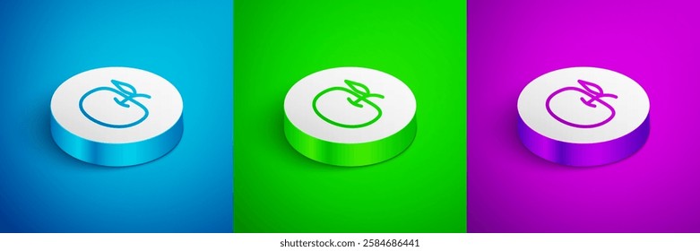 Isometric line Apple icon isolated on blue, green and purple background. Excess weight. Healthy diet menu. Fitness diet apple. White circle button. Vector