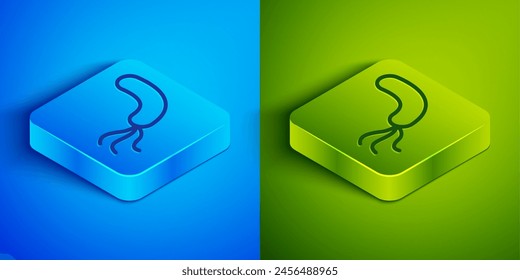 Isometric line Bacteria icon isolated on blue and green background. Bacteria and germs, microorganism disease causing, cell cancer, microbe, virus, fungi. Square button. Vector