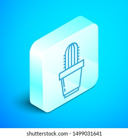 Isometric line Cactus and succulent in pot icon isolated on blue background. Plant growing in a pot. Potted plant sign. Silver square button. Vector Illustration
