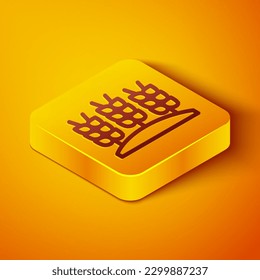 Isometric line Cereals set with rice, wheat, corn, oats, rye, barley icon isolated on orange background. Ears of wheat bread symbols. Yellow square button. Vector