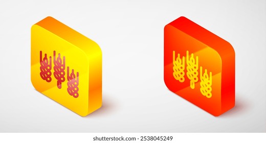 Línea isométrica Conjunto de cereales con arroz, trigo, maíz, avena, centeno, icono de cebada aislado sobre fondo gris. Orejas de símbolos de pan de trigo. Botón cuadrado amarillo y naranja. Vector