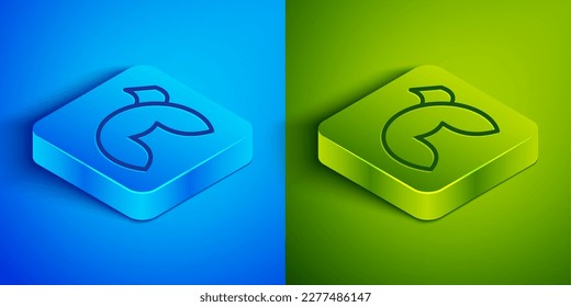 Isometric line Chinese fortune cookie icon isolated on blue and green background. Asian traditional. Square button. Vector