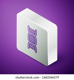 Isometric line DNA symbol icon isolated on purple background. Silver square button. Vector Illustration