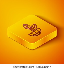 Isometric line Earth globe and plant icon isolated on orange background. World or Earth sign. Geometric shapes. Environmental concept. Yellow square button. Vector Illustration