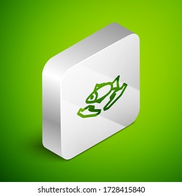 Isometric line Fish care icon isolated on green background. Silver square button. Vector Illustration