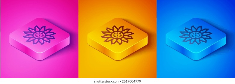 Isometric line Flower icon isolated on pink and orange, blue background. Square button. Vector