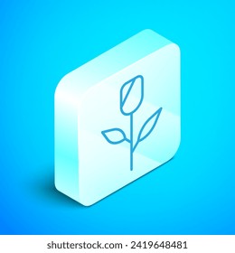 Línea isométrica Icono de rosa de flor aislado en fondo azul. Botón cuadrado plateado. Vector