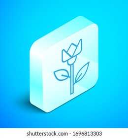 Isometric line Flower tulip icon isolated on blue background. Silver square button. Vector Illustration