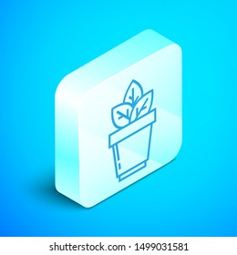 Isometric line Flowers in pot icon isolated on blue background. Plant growing in a pot. Potted plant sign. Silver square button. Vector Illustration