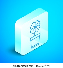 Isometric line Four leaf clover in pot icon isolated on blue background. Happy Saint Patrick day. Silver square button. Vector Illustration