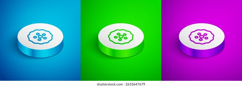 Isometric line Gear icon isolated on blue,green and purple background. Cogwheel gear settings sign. Cog symbol. White circle button. Vector