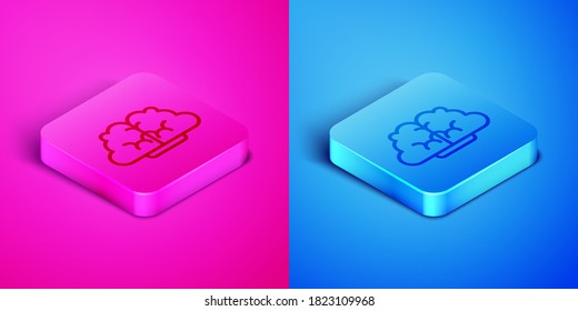Isometric line Graph, schedule, chart, diagram, infographic, pie graph icon isolated on pink and blue background. Square button. Vector Illustration