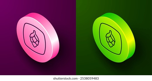 Icono de lúpulo de línea isométrica aislado sobre fondo púrpura y verde. Botón circular. Vector