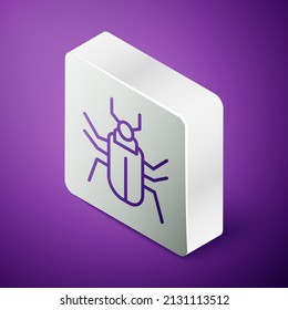 Isometric line Insect fly icon isolated on purple background. Silver square button. Vector