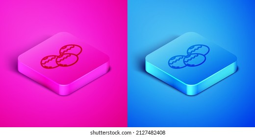 Isometric line Jewish sweet bakery icon isolated on pink and blue background. Hanukkah sufganiyot. Jewish easter cake. Square button. Vector