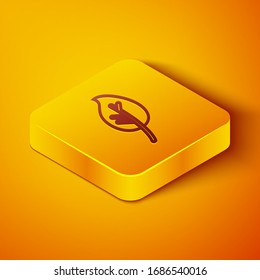 Isometric line Leaf icon isolated on orange background. Leaves sign. Fresh natural product symbol. Yellow square button. Vector Illustration