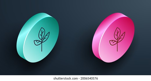 Isometric line Leaf icon isolated Isometric line background. Leaves sign. Fresh natural product symbol. Turquoise and pink circle button. Vector