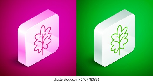 Icono de hoja de línea isométrica aislado en fondo rosa y verde. Deja la señal. Símbolo de producto natural fresco. Botón cuadrado plateado. Vector