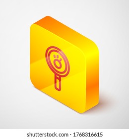 Isometric line Paw search icon isolated on grey background. Magnifying glass with animal footprints. Yellow square button. Vector