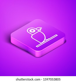 Isometric line Pirate parrot icon isolated on purple background. Purple square button. Vector Illustration