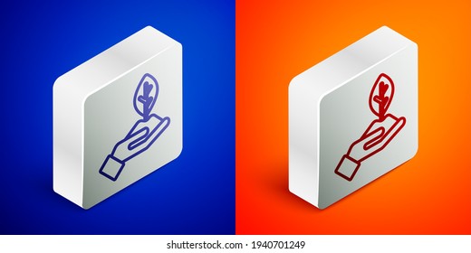 Isometric line Plant in hand of environmental protection icon isolated on blue and orange background. Seed and seedling. Planting sapling. Ecology concept. Silver square button. Vector
