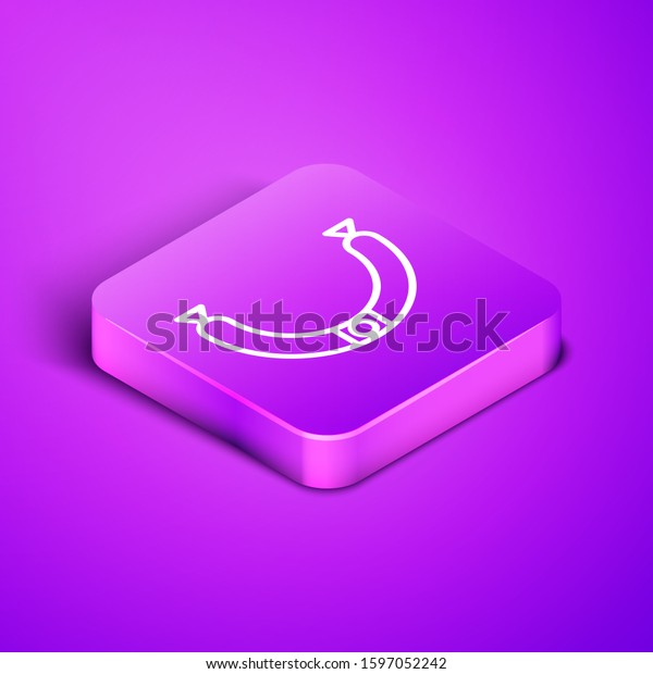 isometric line sausage steam icon isolated stock vector royalty free 1597052242 shutterstock