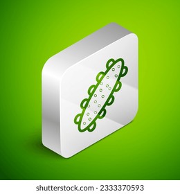 Isometric line Sea cucumber icon isolated on green background. Marine food. Silver square button. Vector