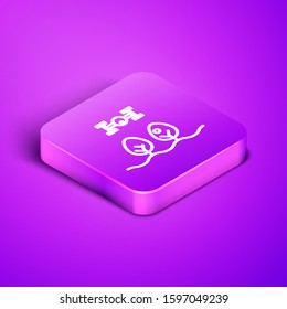 Isometric line Smart farm with drone control and tree icon isolated on purple background. Innovation technology for agricultural company. Purple square button. Vector Illustration