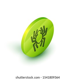 Isometric line Spider icon isolated on white background. Happy Halloween party. Green circle button. Vector Illustration