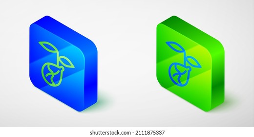 Isometric line Sprout icon aislar fondo gris. Semillas y plántulas. Deja la señal. Naturaleza foliar. Botón cuadrado azul y verde. Vector