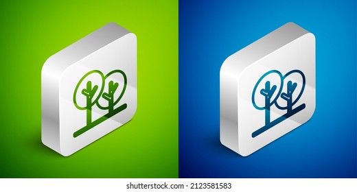 Isometrische Linie Tree Symbol einzeln auf grünem und blauem Hintergrund. Waldsymbol. Silberquadrat-Taste. Vektorgrafik