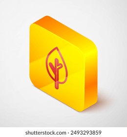 Icono de árbol de línea isométrica aislado sobre fondo gris. Símbolo de bosque. Botón cuadrado amarillo. Vector