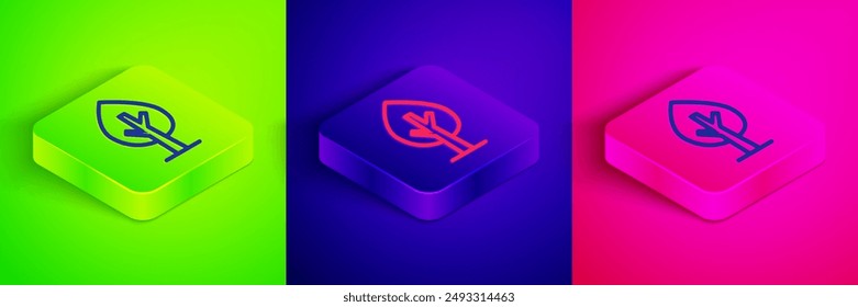 Isometric line Tree icon isolated on green, blue and pink background. Forest symbol. Square button. Vector