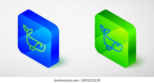 Isometric line Whale icon isolated grey background. Blue and green square button. Vector