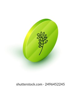 Isometric line Willow leaf icon isolated on white background. Green circle button. Vector Illustration
