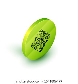 Isometric lineSnowflake icon isolated on white background. Green circle button. Vector Illustration