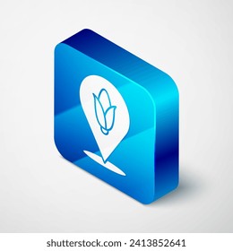 Isometric Location corn icon isolated on grey background. Blue square button. Vector