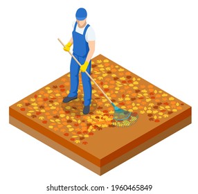 Isometric man cleaning fallen autumn leaves, A gardener collects and cleans fallen leaves in the fall with a rake isolated on white