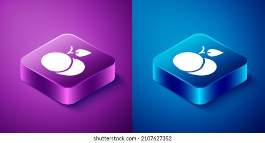 Isometric Mango fruit icon isolated on blue and purple background. Square button. Vector