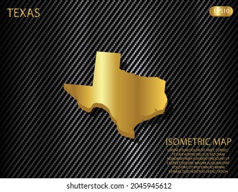isometric map gold of Texas on carbon kevlar texture pattern tech sports innovation concept background. for website, infographic, banner vector illustration EPS10 
