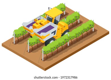 Isometric Mechanical Grape Harvester works by beating the vine with rubber sticks to get the vine to drop its fruit onto a conveyor belt that brings the fruit to a holding bin. Agricultural work