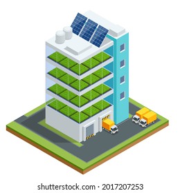 Isometric Modern Aeroponic Hydroponics Farm. Future Plant Food Production. Plant Food Production In Vertically Stacked Layers. Fresh Organic Vegetable Grown Using Aquaponic Or Hydroponic Farming.