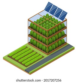 Isometric Modern Aeroponic Hydroponics Farm. Future Plant Food Production. Plant Food Production In Vertically Stacked Layers. Fresh Organic Vegetable Grown Using Aquaponic Or Hydroponic Farming.