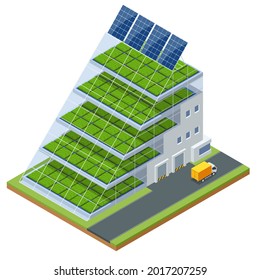 Isometric Modern Aeroponic Hydroponics Farm. Future Plant Food Production. Plant Food Production In Vertically Stacked Layers. Fresh Organic Vegetable Grown Using Aquaponic Or Hydroponic Farming.