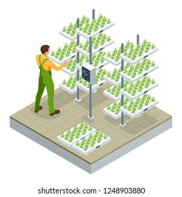 Isometric modern smart industrial greenhouse. Artificial intelligence robots in agricultural. Organic food, agriculture and hydroponic conccept.